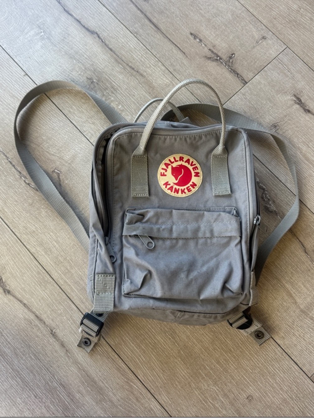 Mini Backpack in Gray